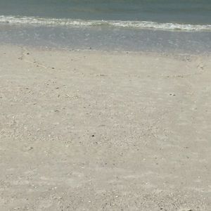 Meet your Posher, Bryce